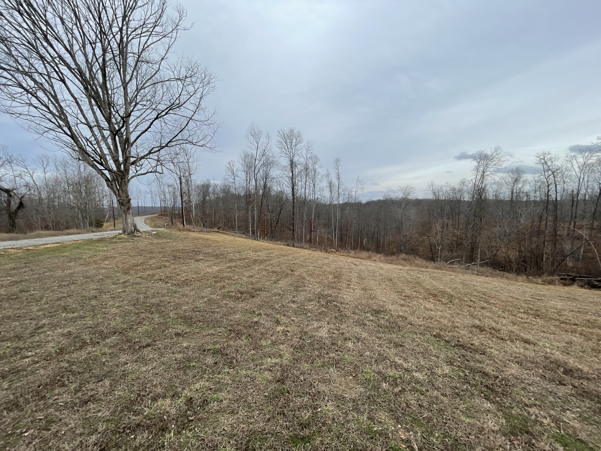 44 Ridgeway Avenue Smithville TN 37166
