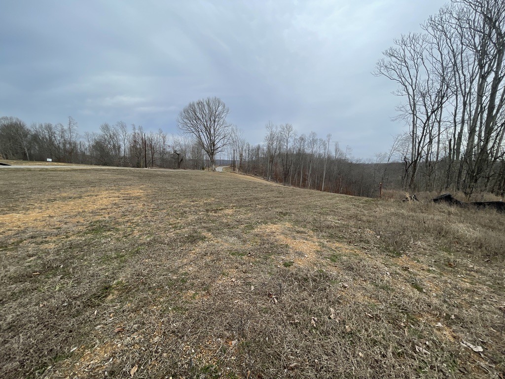 44 Ridgeway Avenue Smithville TN 37166