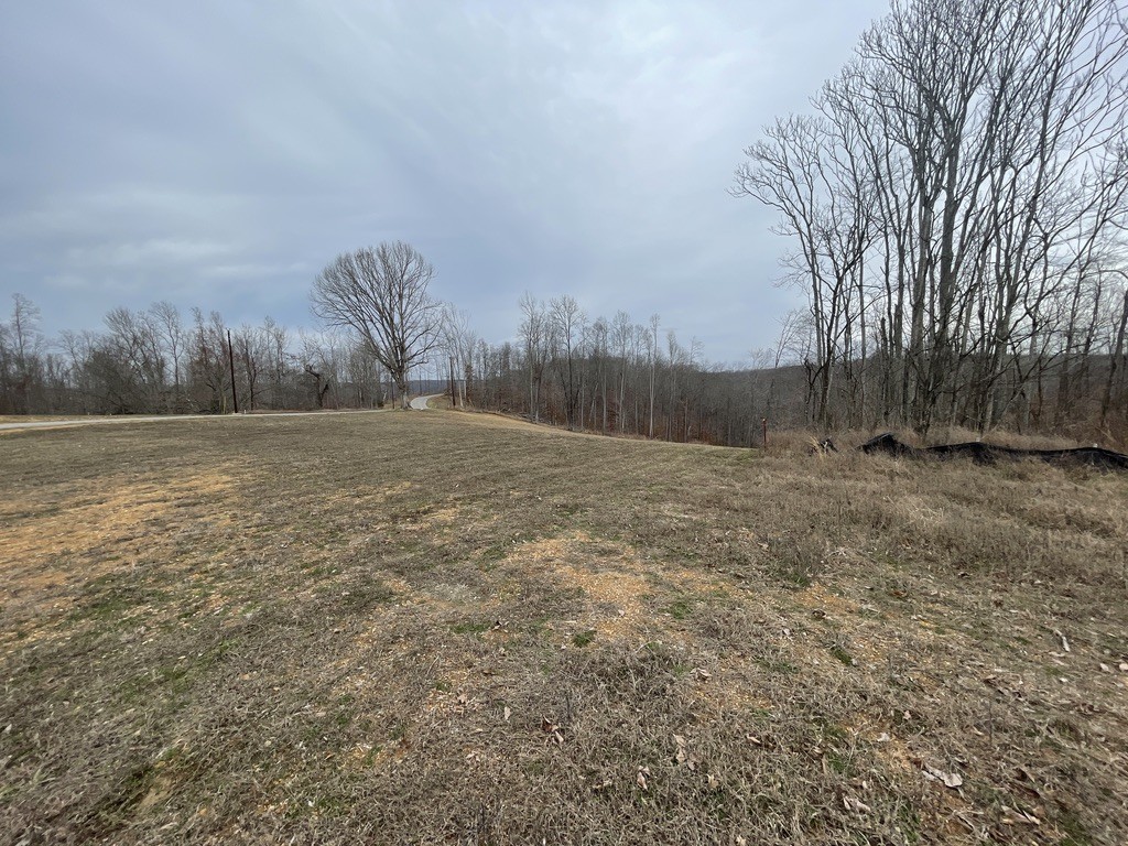 44 Ridgeway Avenue Smithville TN 37166