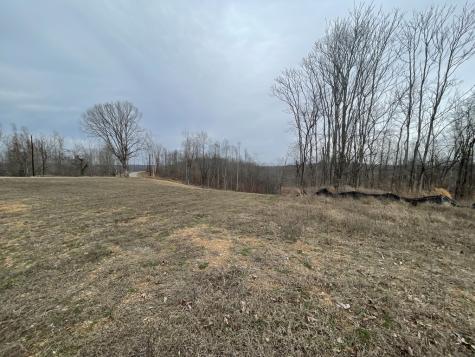 44 Ridgeway Avenue Smithville TN 37166