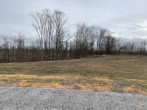 44 Ridgeway Avenue Smithville TN 37166