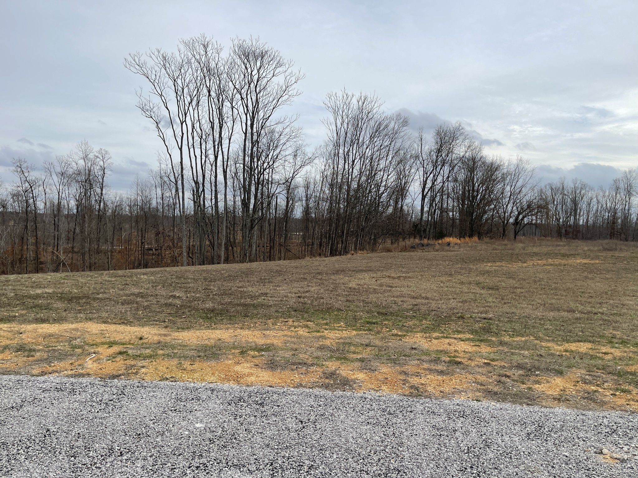44 Ridgeway Avenue Smithville TN 37166