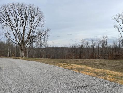 44 Ridgeway Avenue Smithville TN 37166
