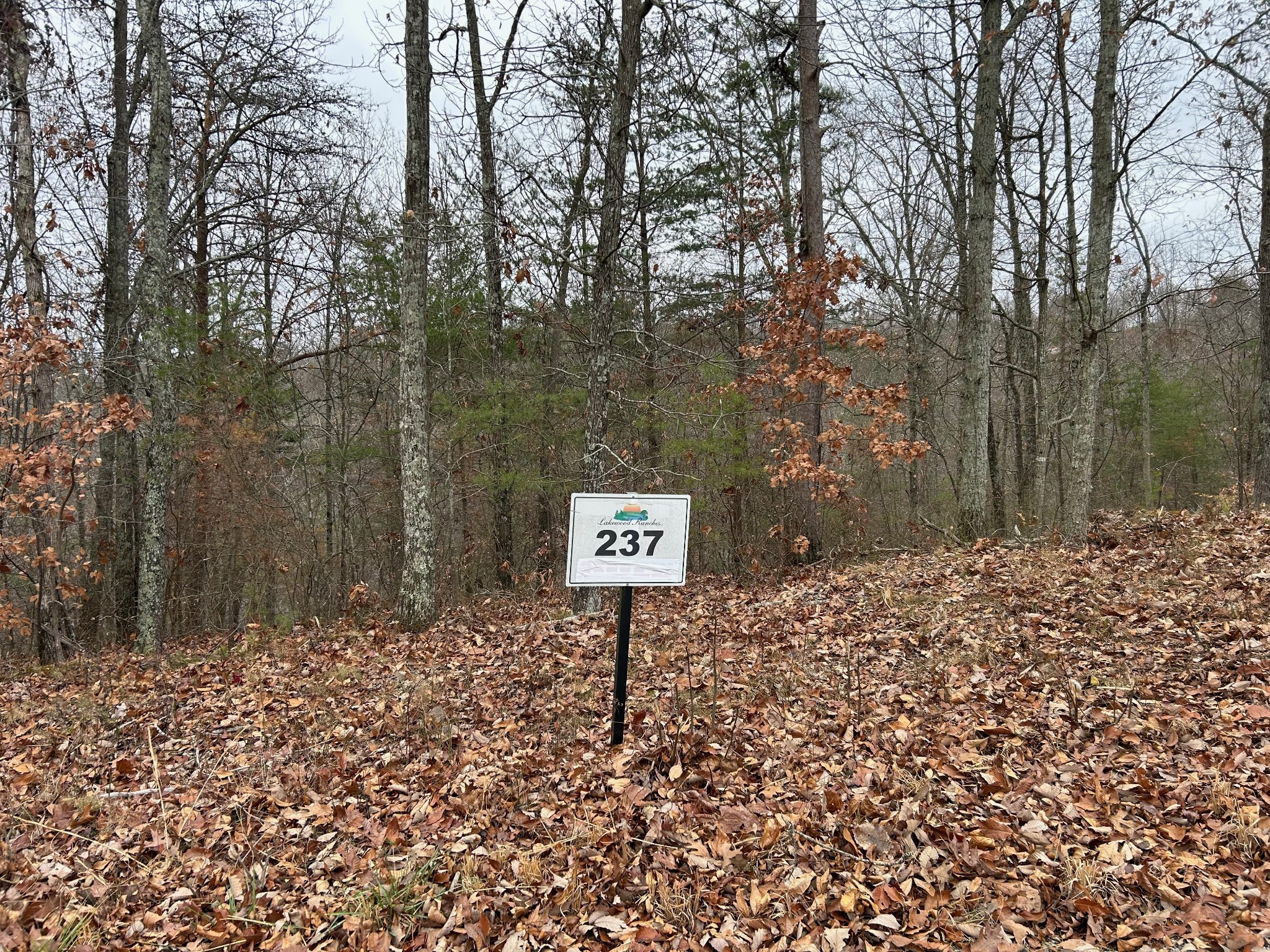 0 Crestwood Drive Waverly TN 37185
