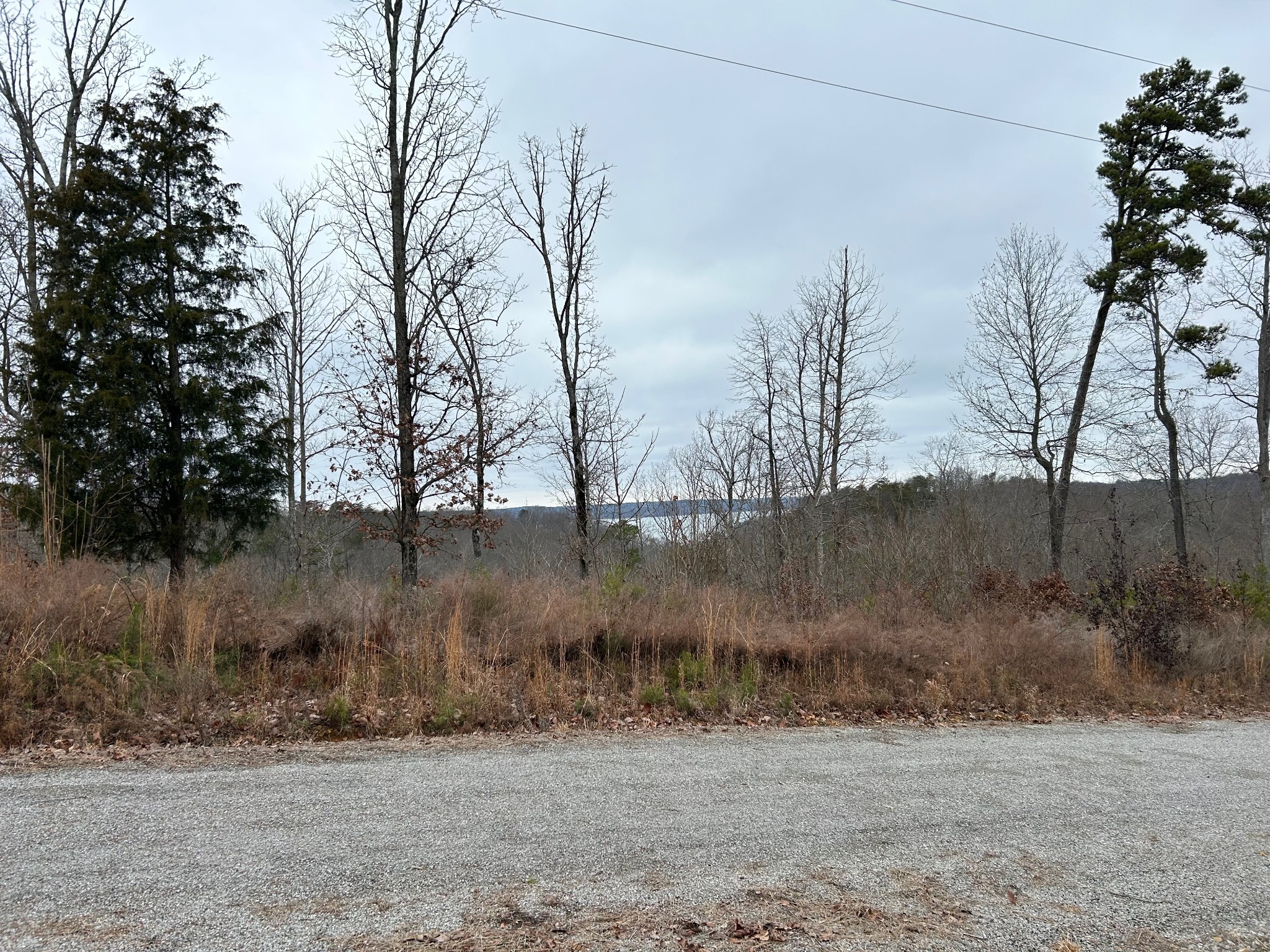 0 Crestwood Drive Waverly TN 37185