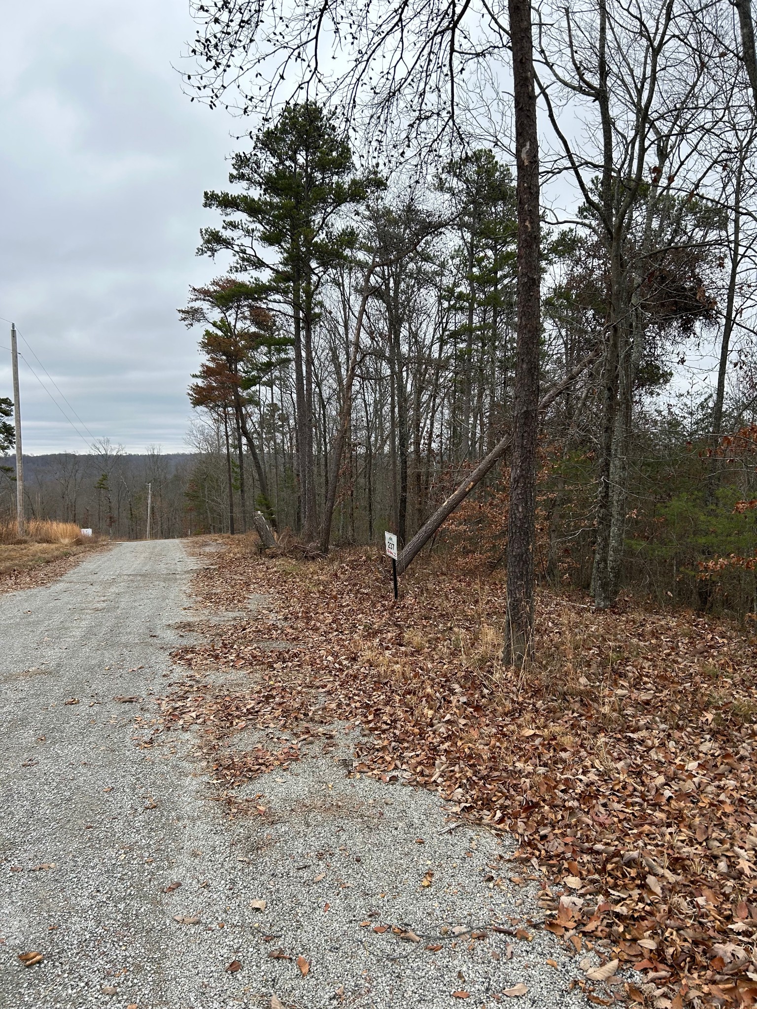 0 Crestwood Drive Waverly TN 37185