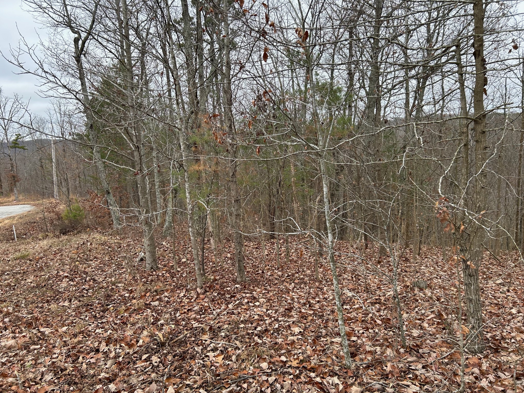 0 Crestwood Drive Waverly TN 37185