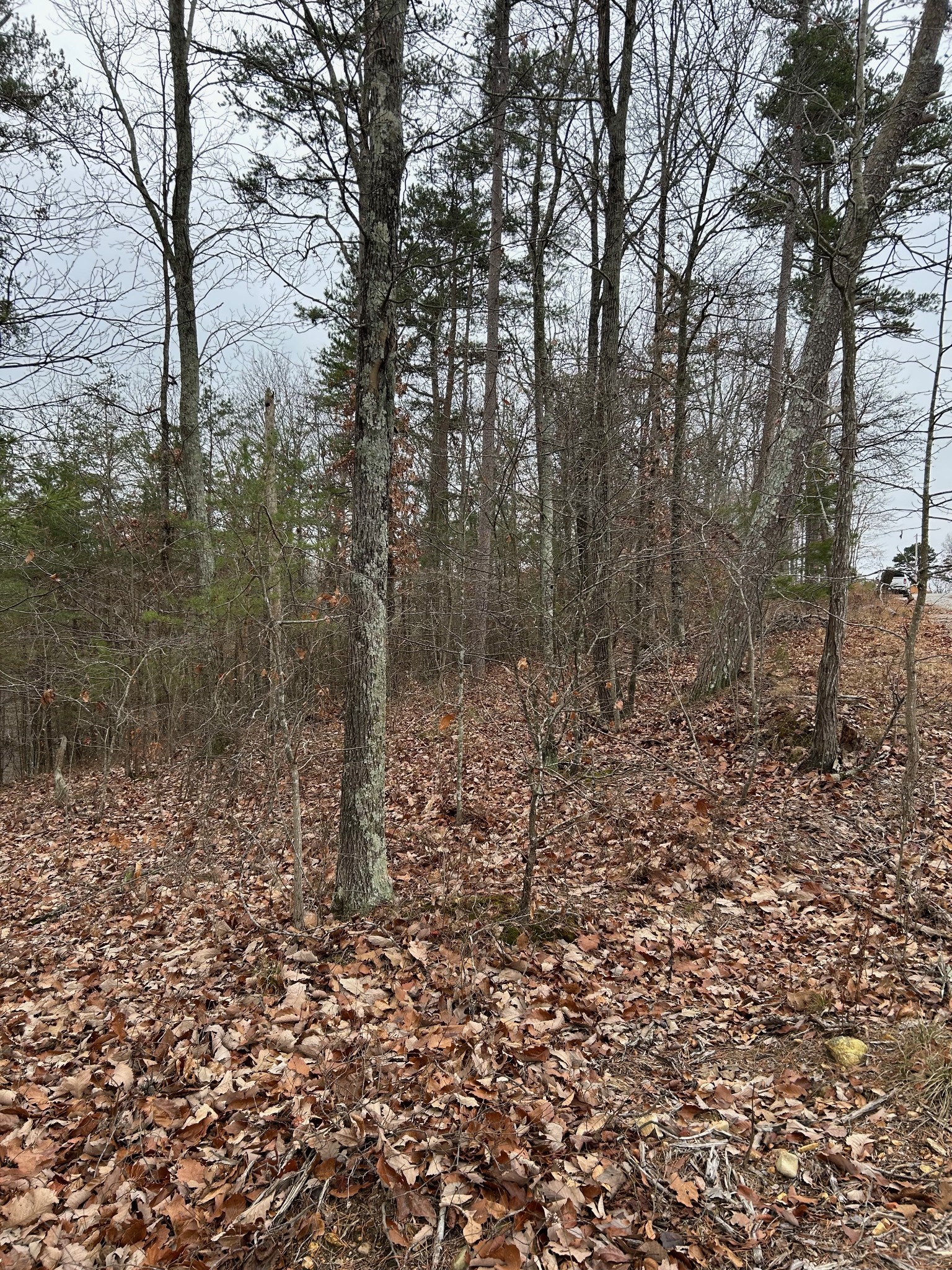0 Crestwood Drive Waverly TN 37185