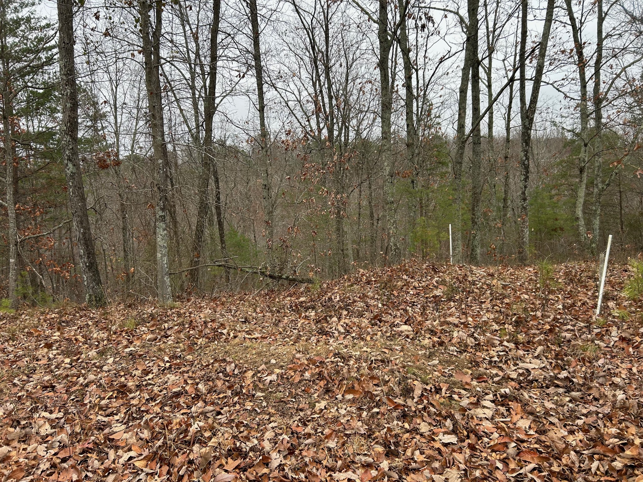 0 Crestwood Drive Waverly TN 37185
