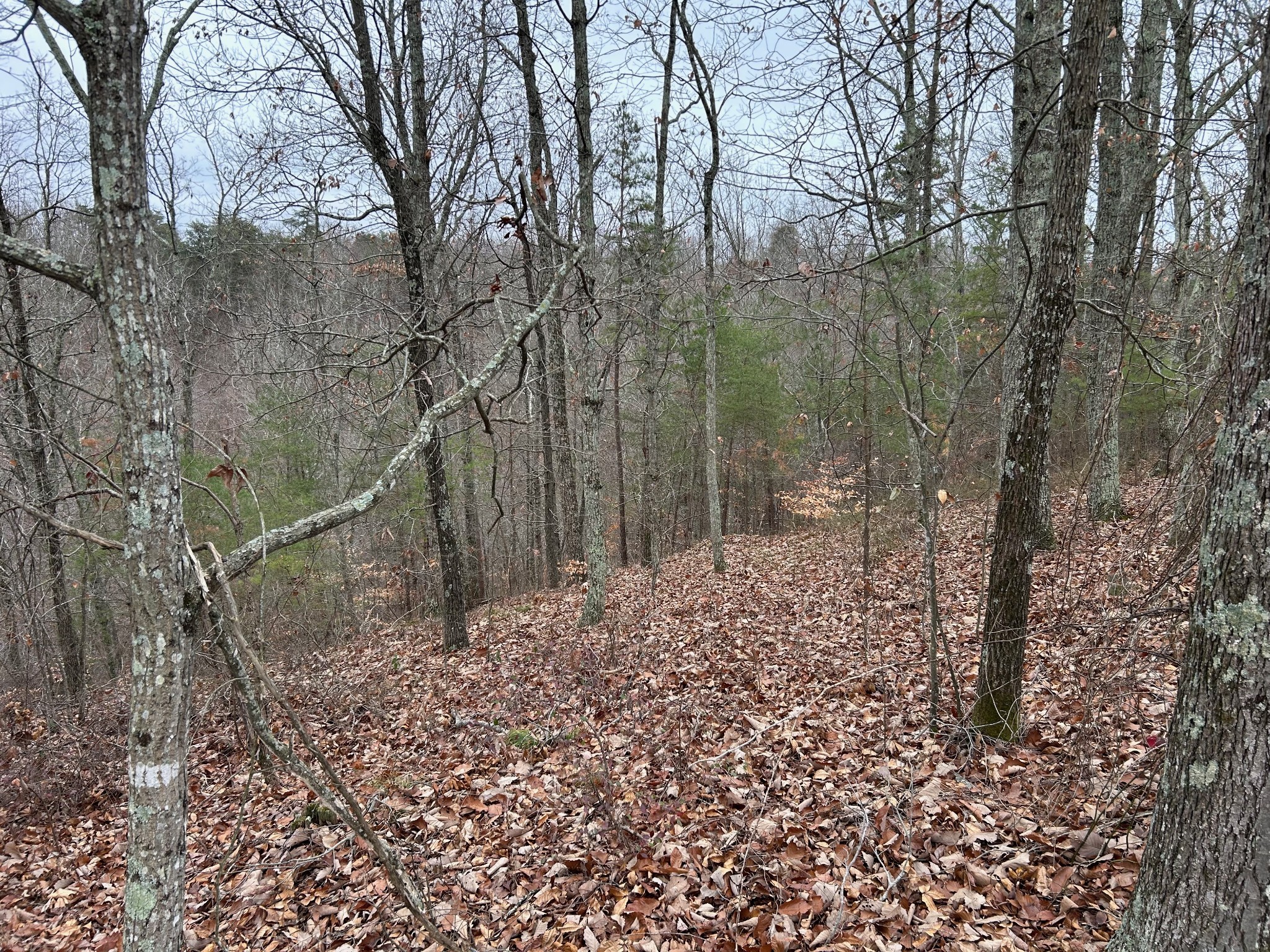 0 Crestwood Drive Waverly TN 37185