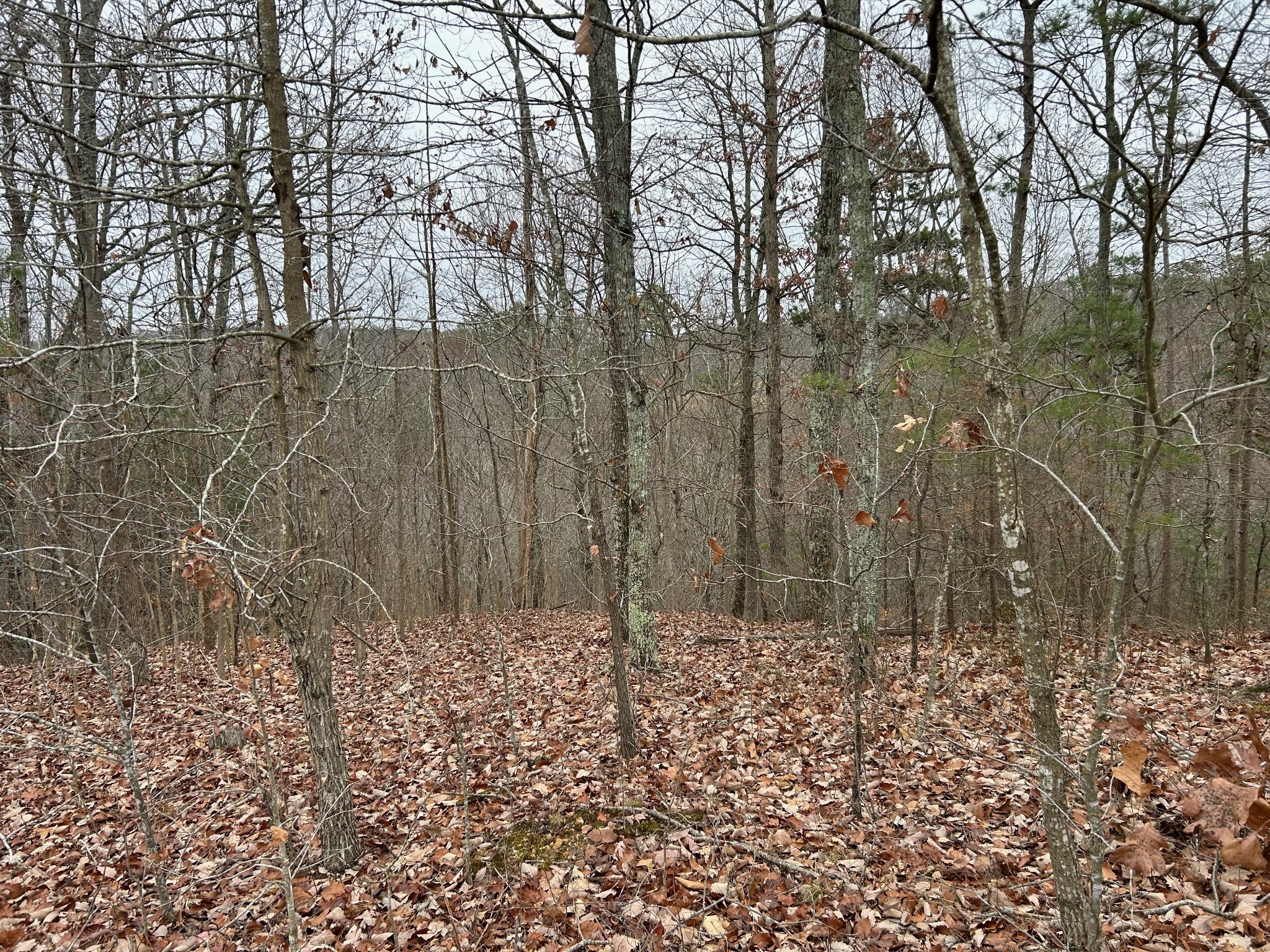 0 Crestwood Drive Waverly TN 37185