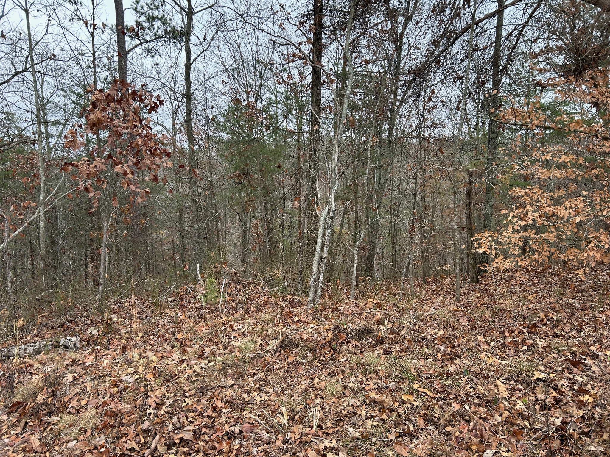 0 Crestwood Drive Waverly TN 37185