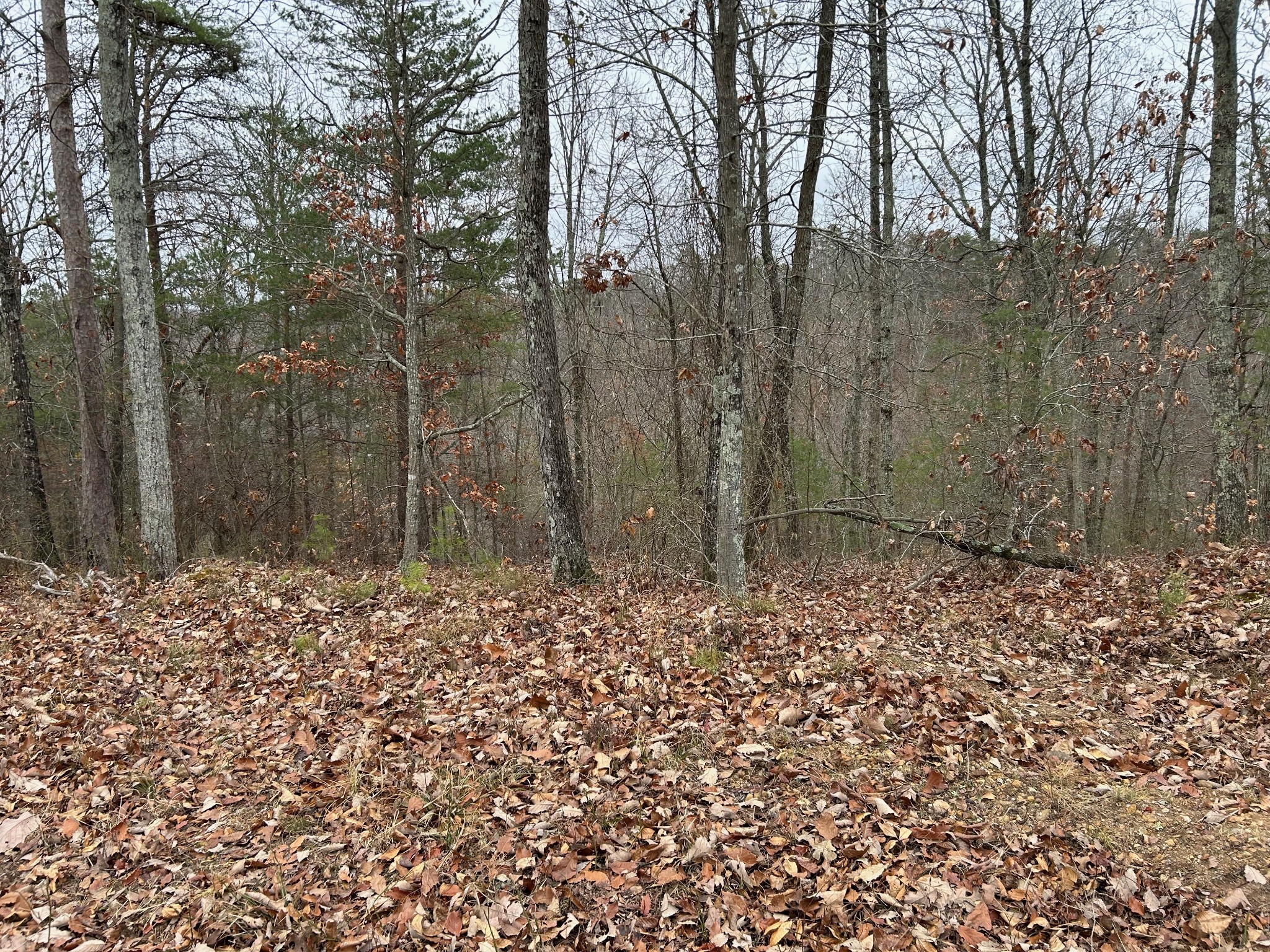0 Crestwood Drive Waverly TN 37185