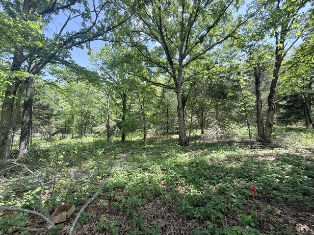921 Eli Road Bon Aqua TN 37025