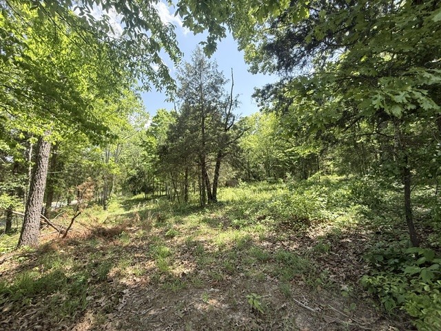 921 Eli Road Bon Aqua TN 37025