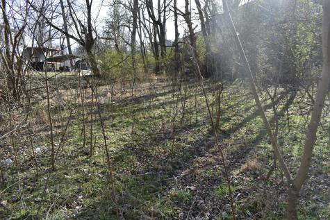178 Hunter Avenue Carthage TN 37030