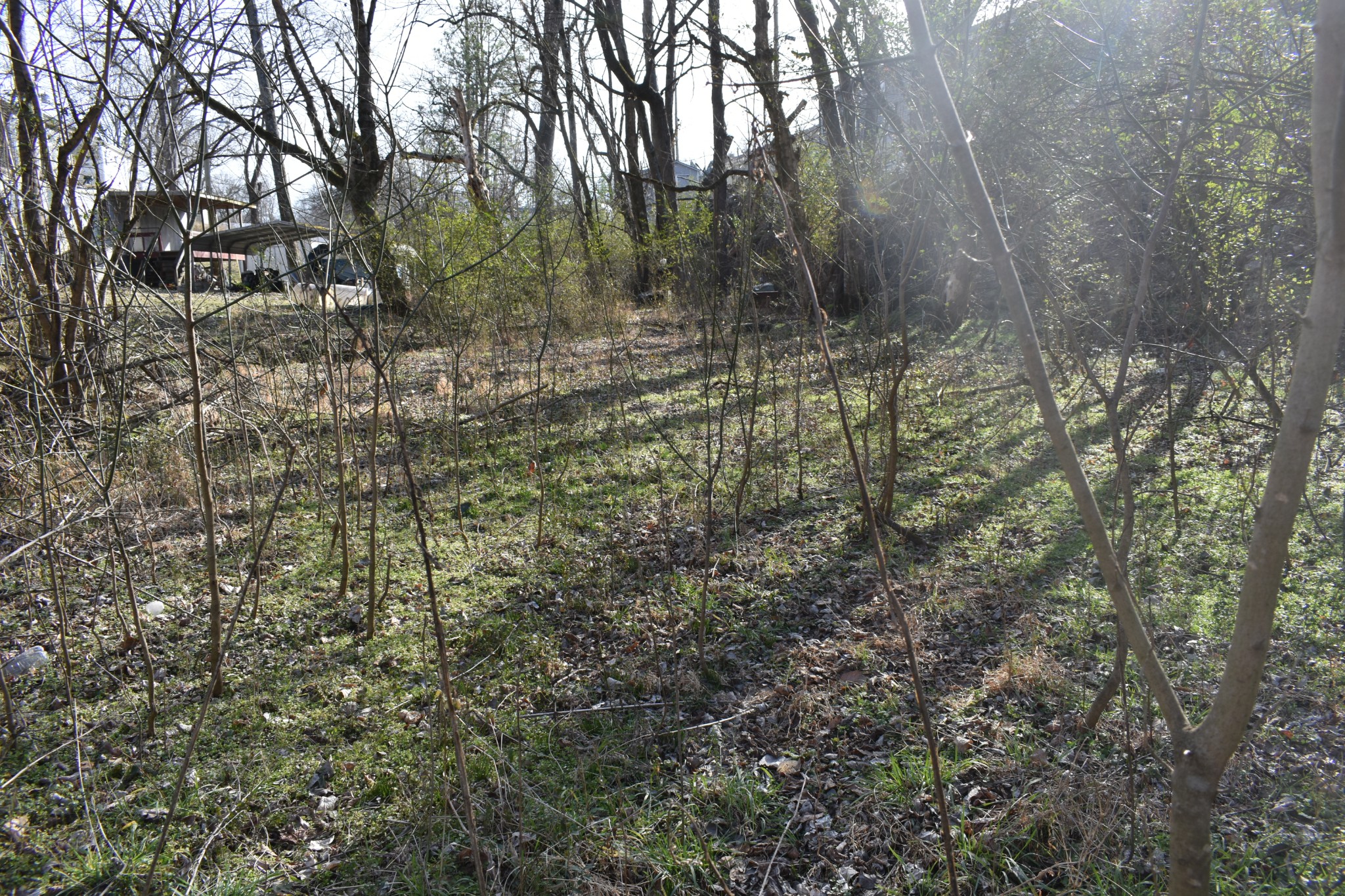 178 Hunter Avenue Carthage TN 37030