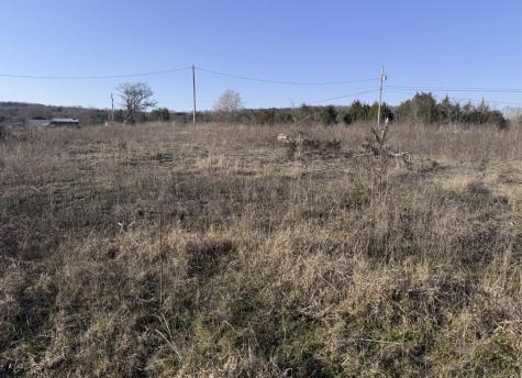 0 Ward Hollow Road Brush Creek TN 38547