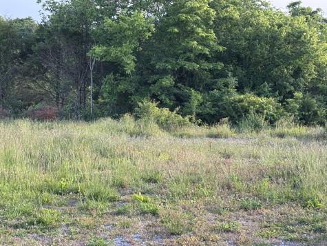 0 Ward Hollow Road Brush Creek TN 38547