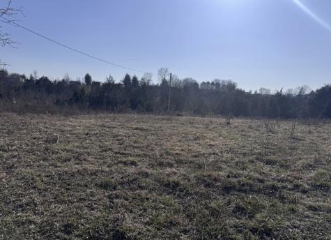 0 Ward Hollow Road Brush Creek TN 38547