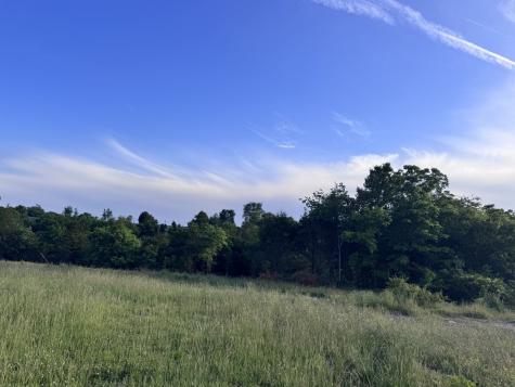 0 Ward Hollow Road Brush Creek TN 38547