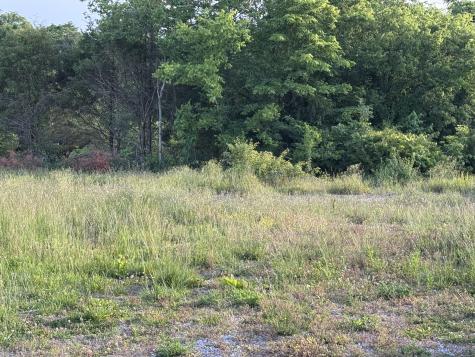 0 Ward Hollow Road Brush Creek TN 38547