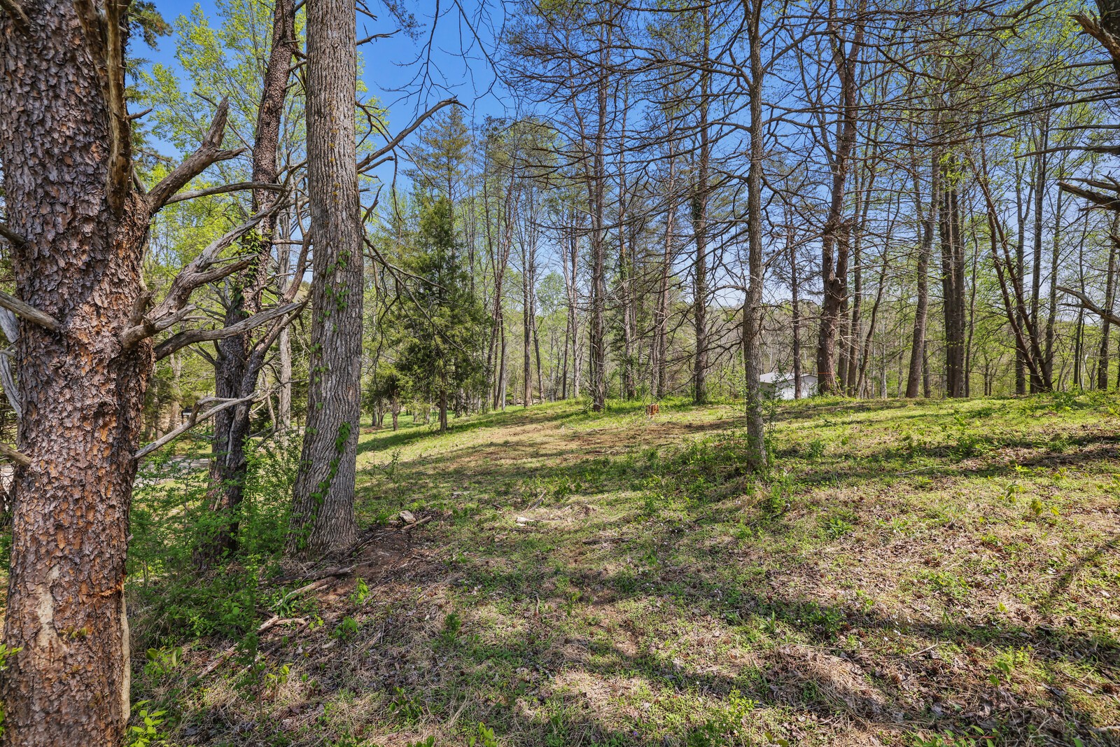0 Anchor Bend Drive Rock Island TN 38581