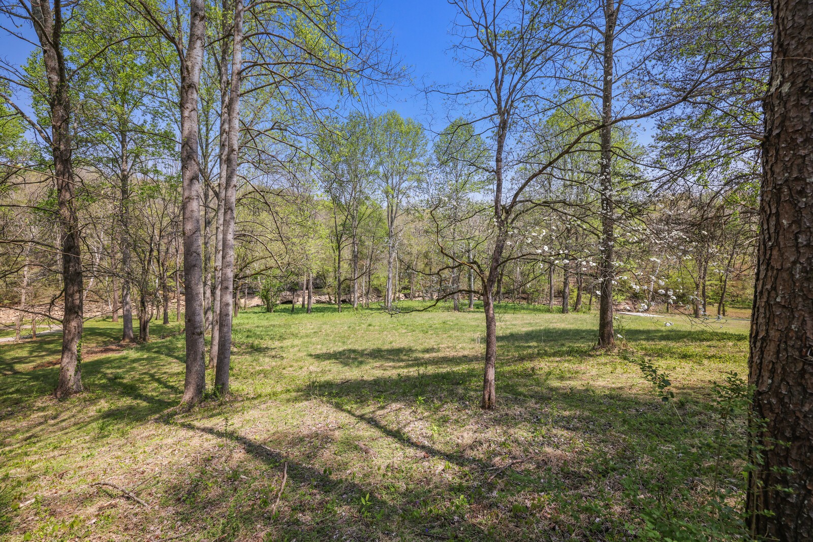 0 Anchor Bend Drive Rock Island TN 38581