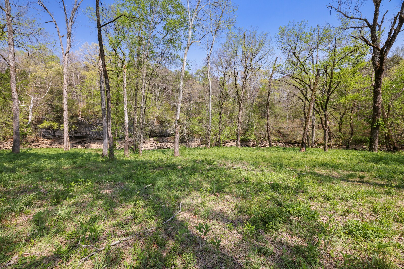 0 Anchor Bend Drive Rock Island TN 38581