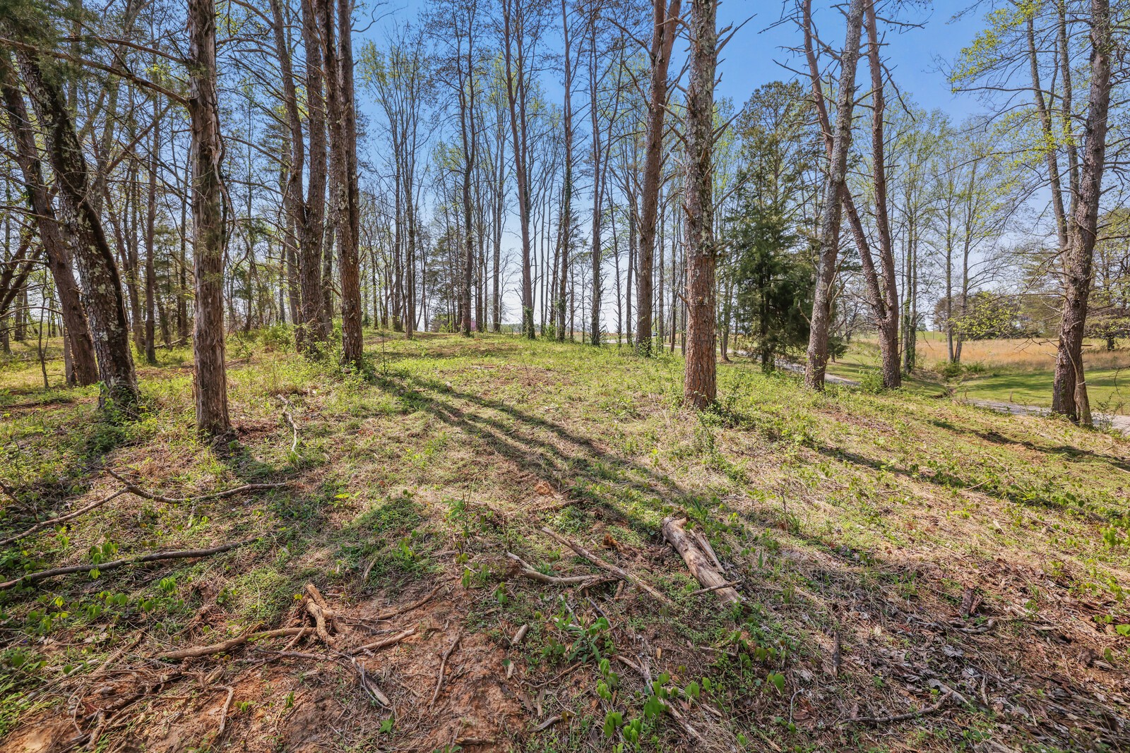 0 Anchor Bend Drive Rock Island TN 38581