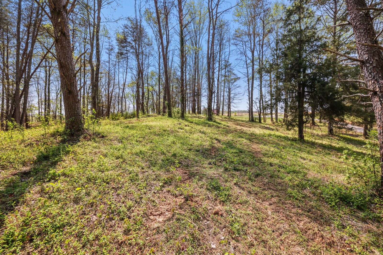 0 Anchor Bend Drive Rock Island TN 38581