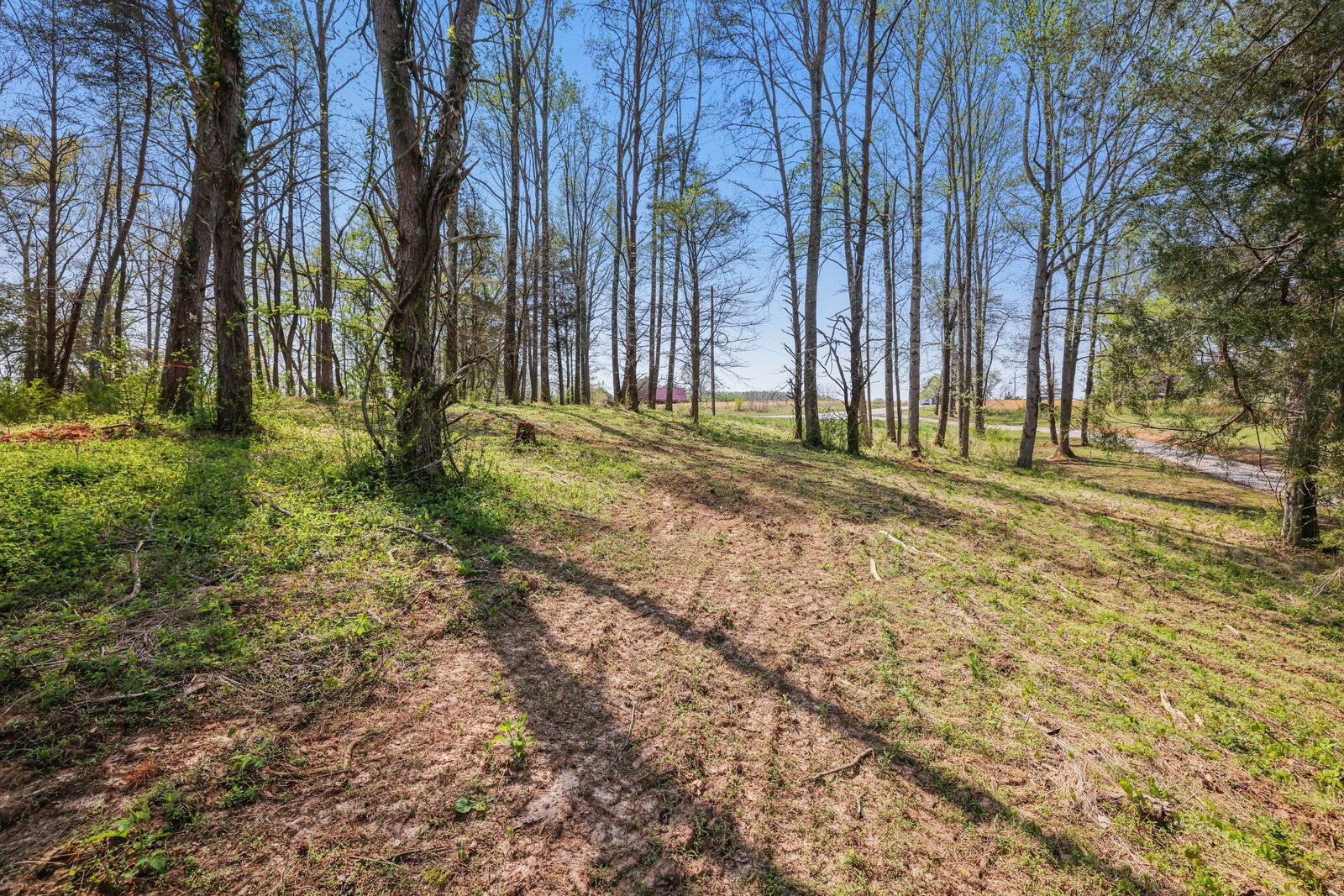 0 Anchor Bend Drive Rock Island TN 38581