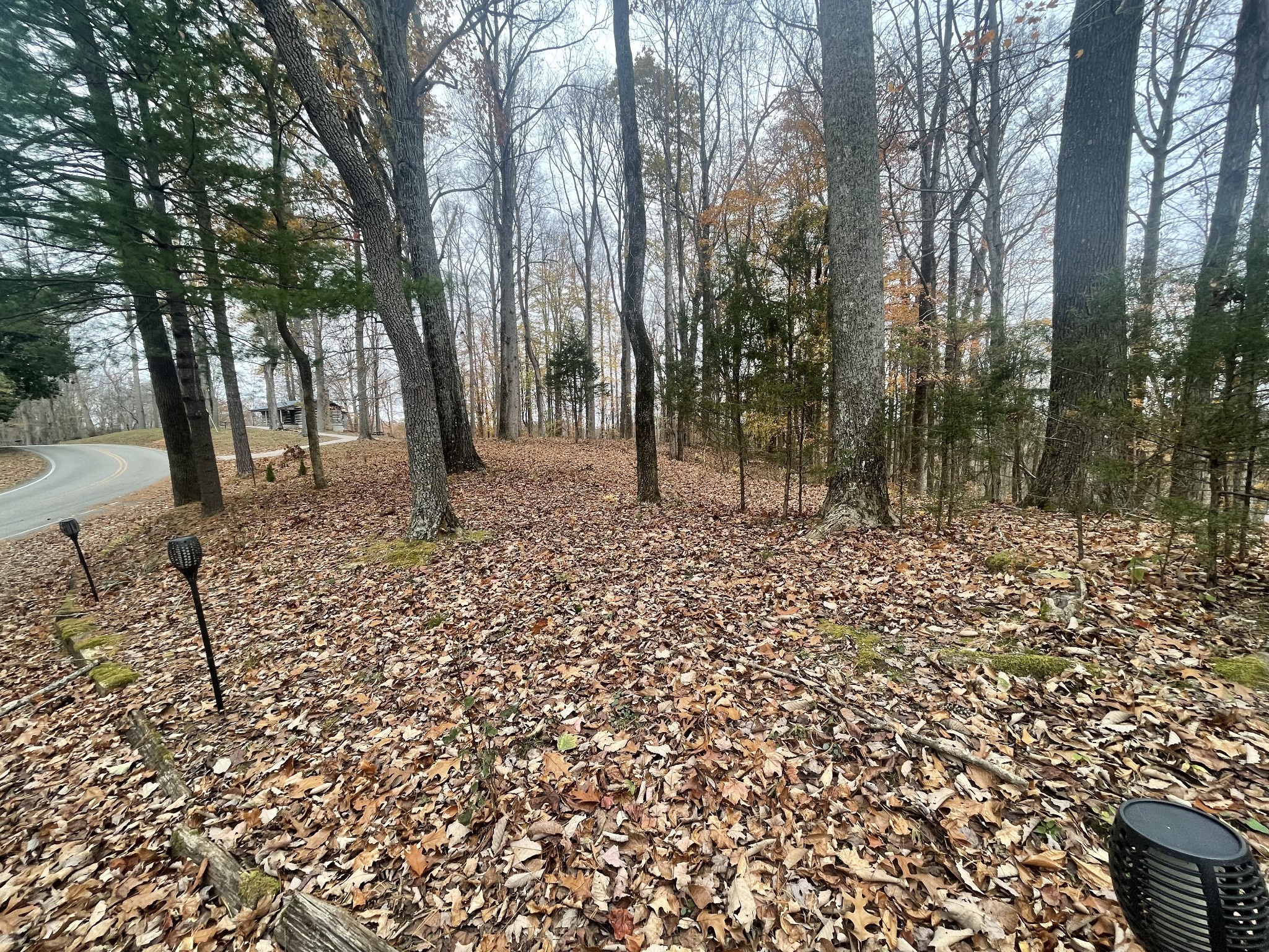2029 Holly Creek Road Celina TN 38551