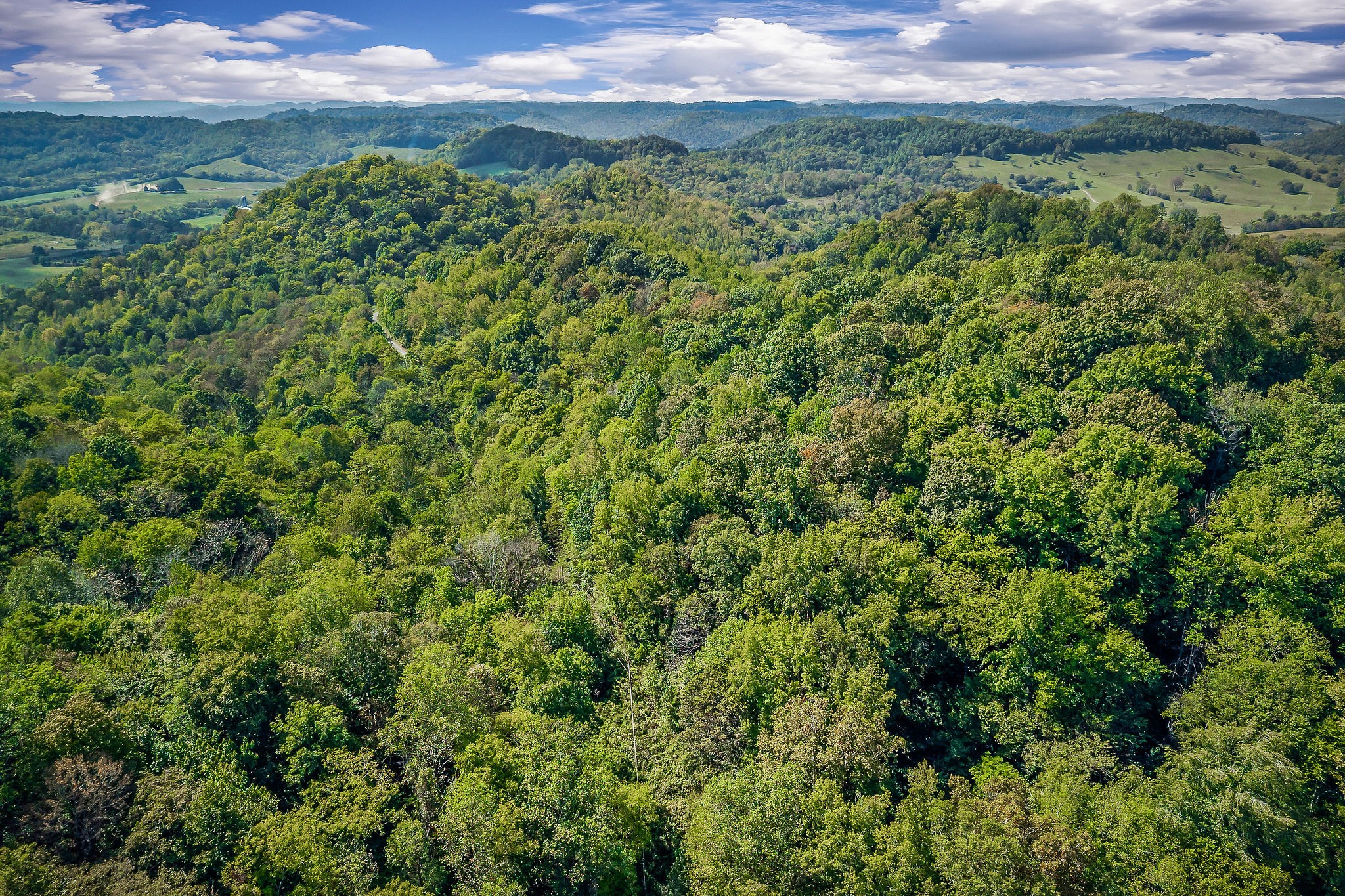 43 Moss Bend Lane Lancaster TN 38569