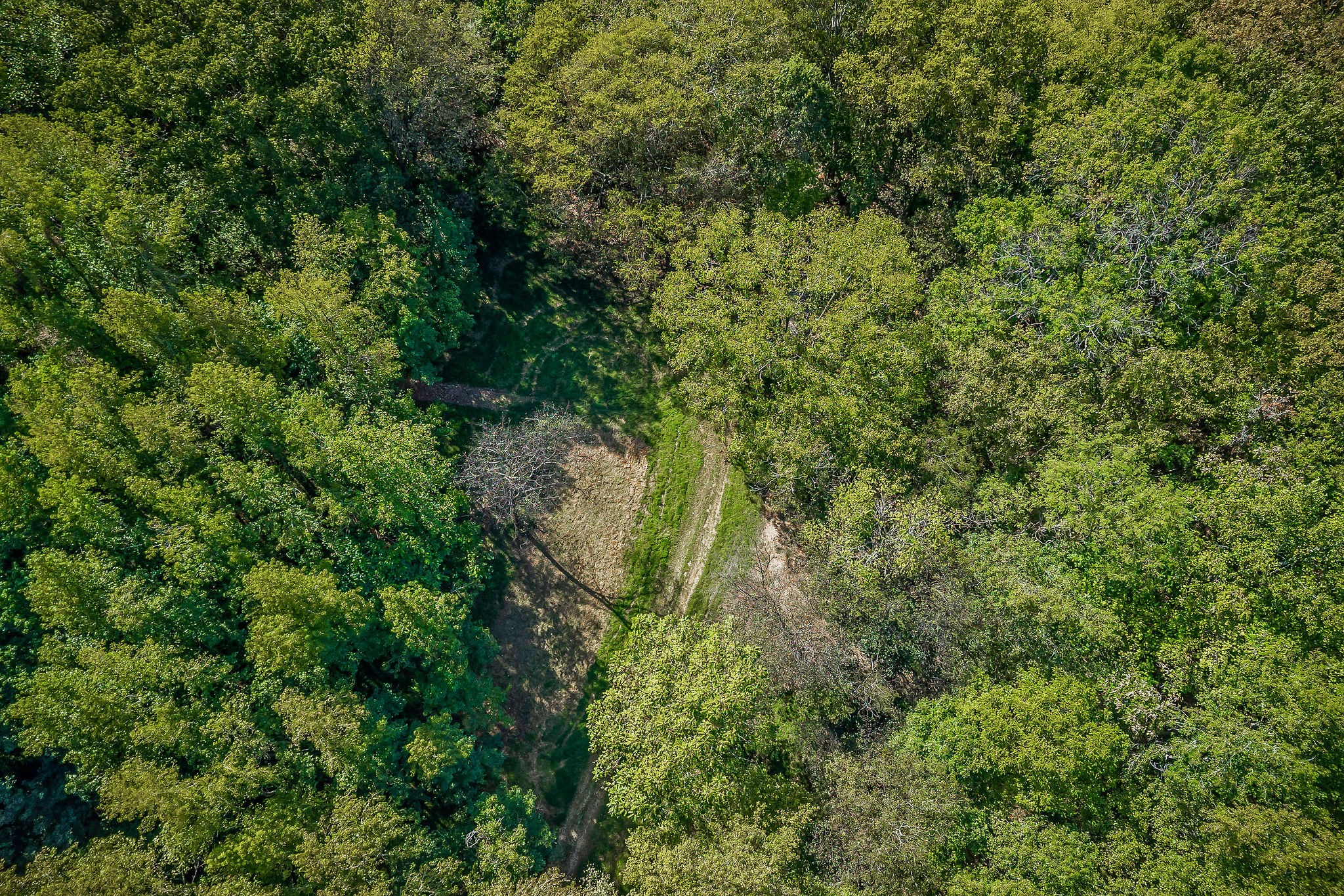43 Moss Bend Lane Lancaster TN 38569
