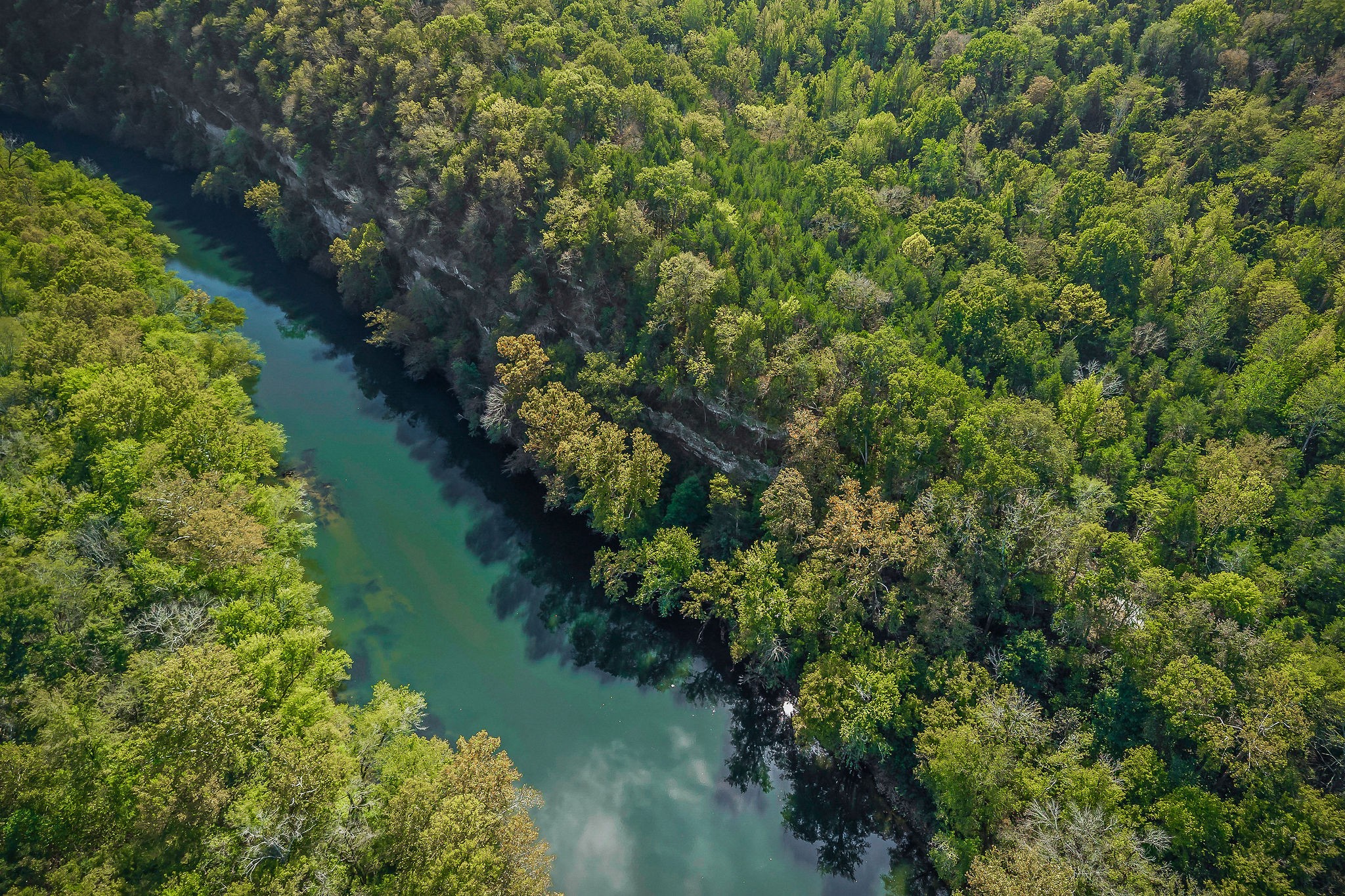 43 Moss Bend Lane Lancaster TN 38569