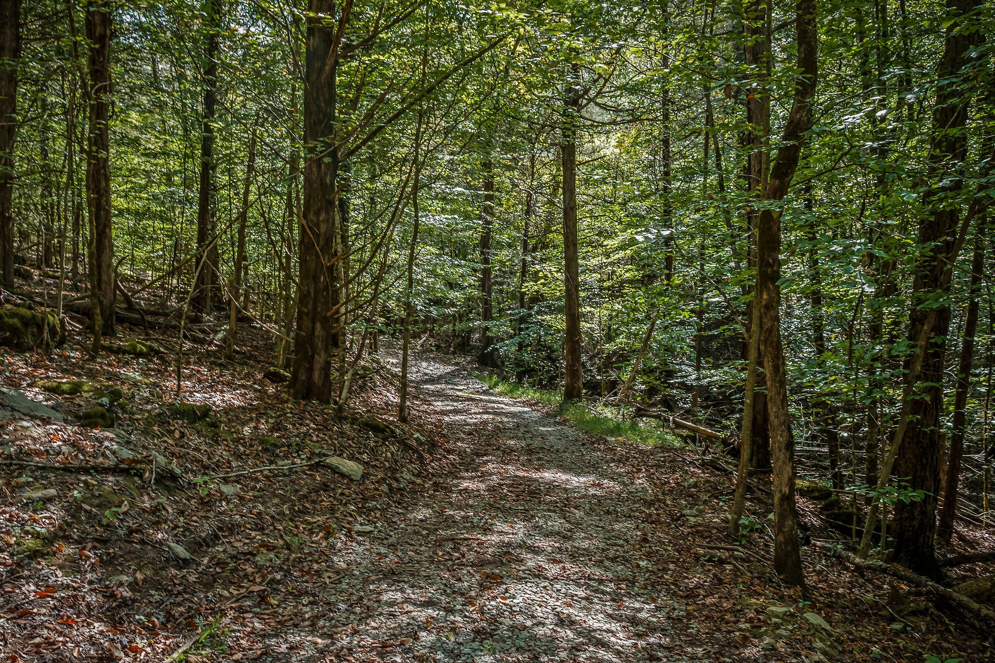 43 Moss Bend Lane Lancaster TN 38569