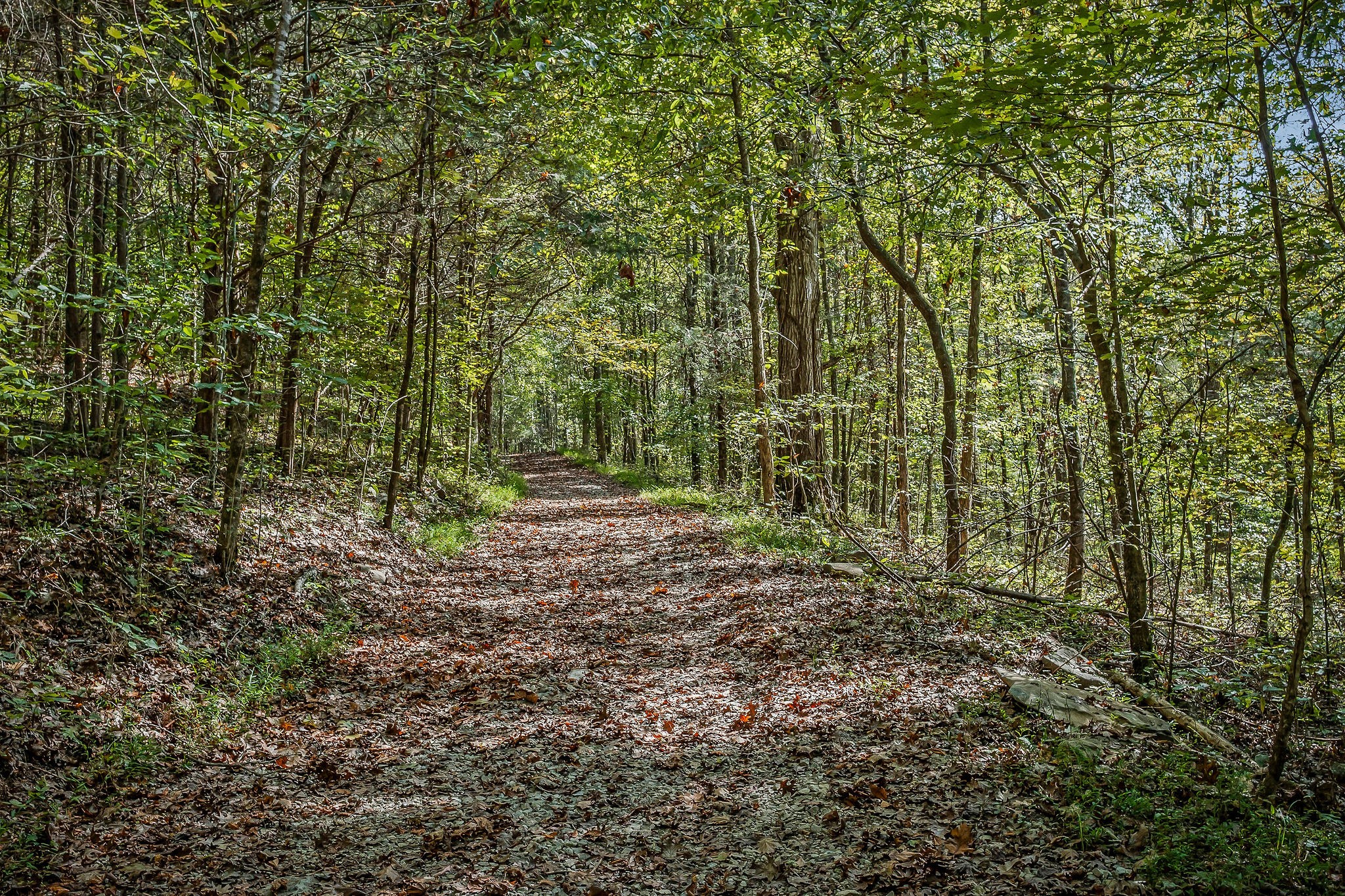43 Moss Bend Lane Lancaster TN 38569