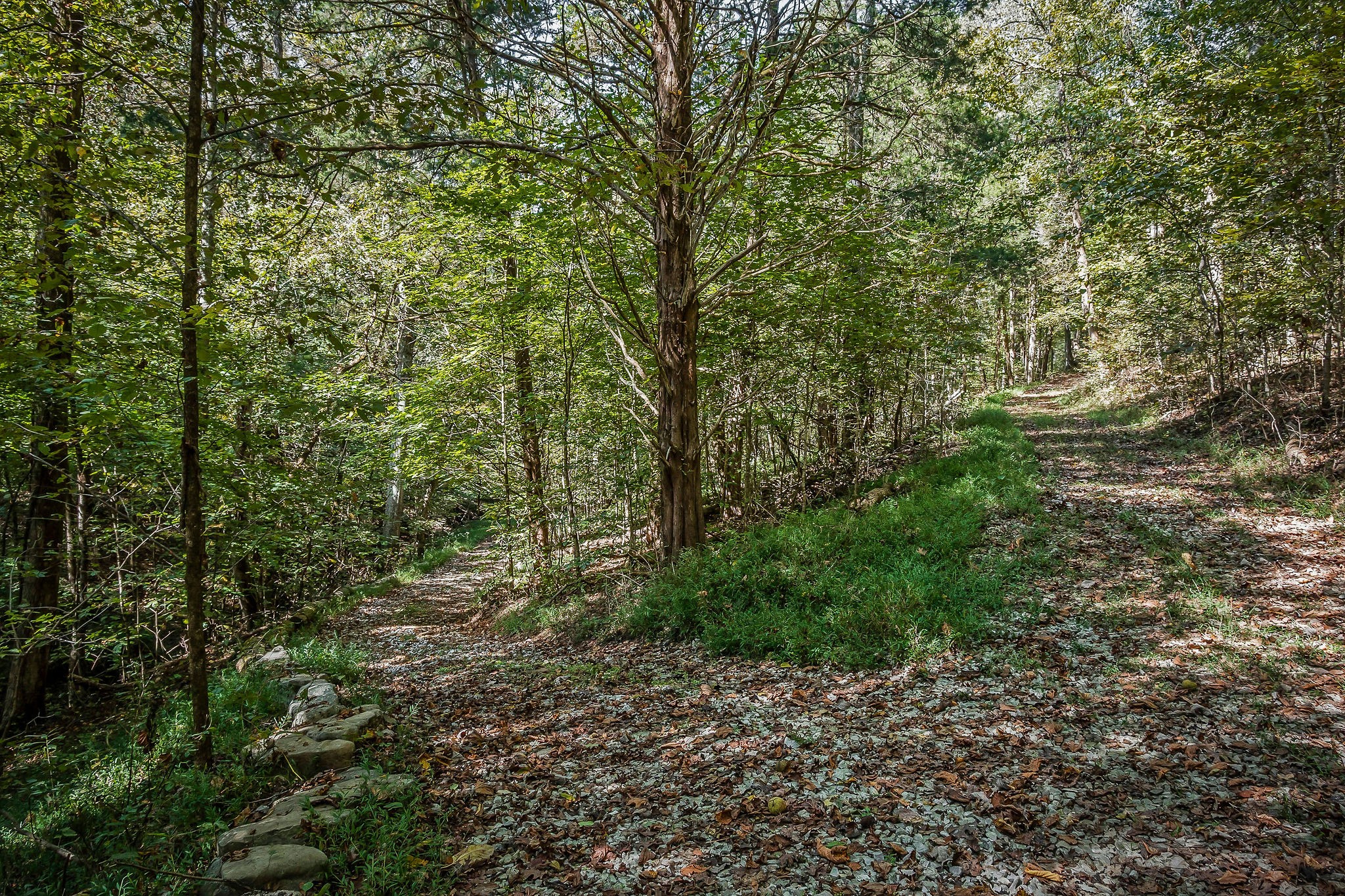43 Moss Bend Lane Lancaster TN 38569