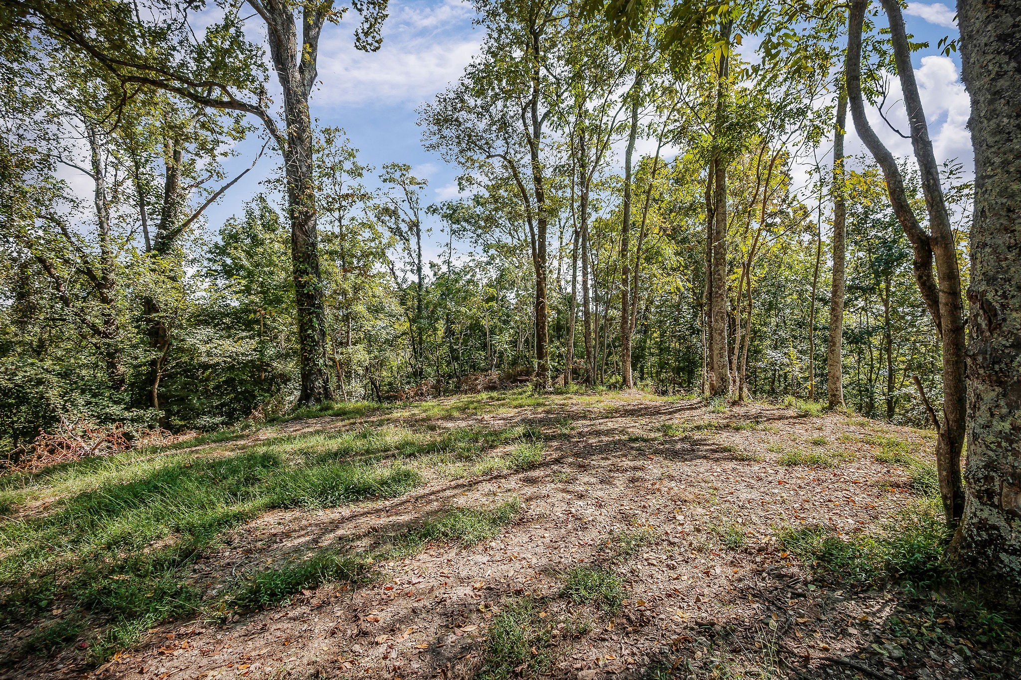 43 Moss Bend Lane Lancaster TN 38569