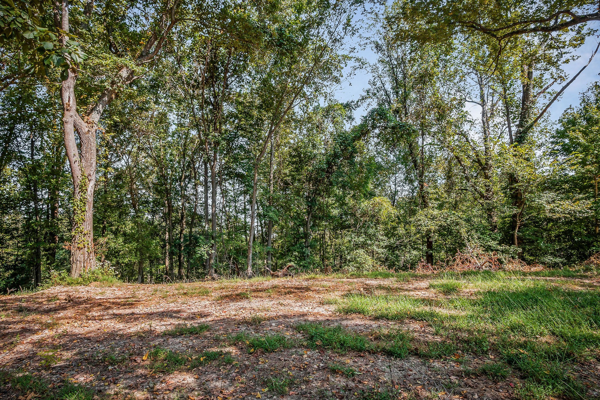 43 Moss Bend Lane Lancaster TN 38569