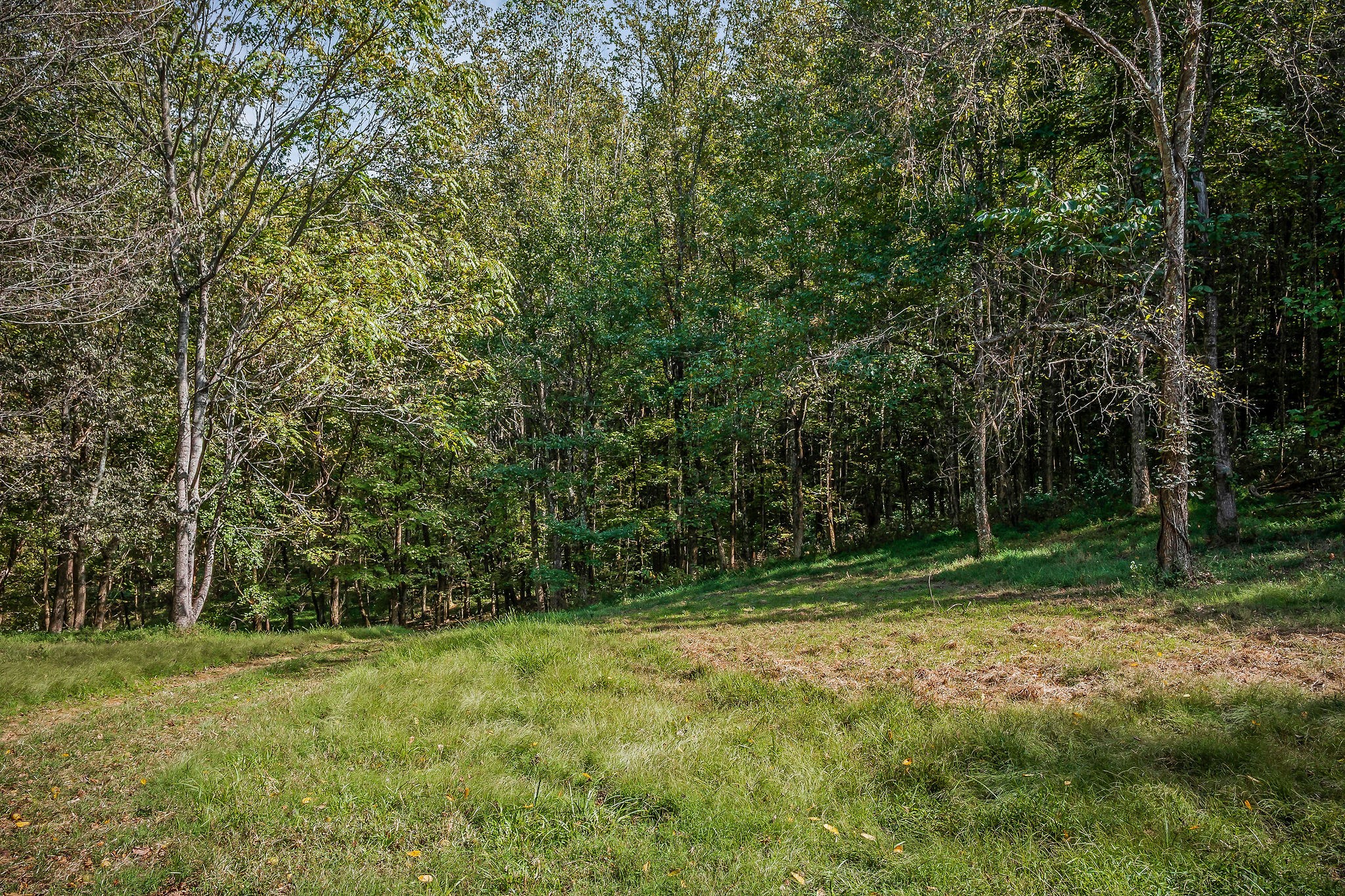 43 Moss Bend Lane Lancaster TN 38569