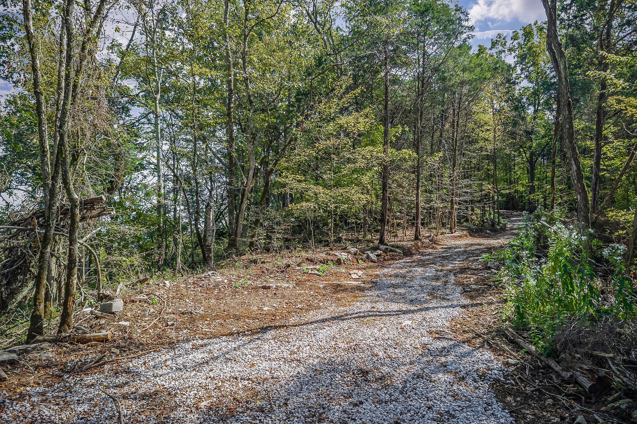 43 Moss Bend Lane Lancaster TN 38569