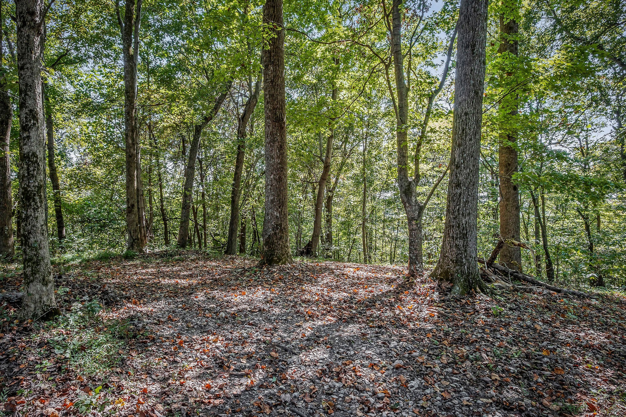 43 Moss Bend Lane Lancaster TN 38569