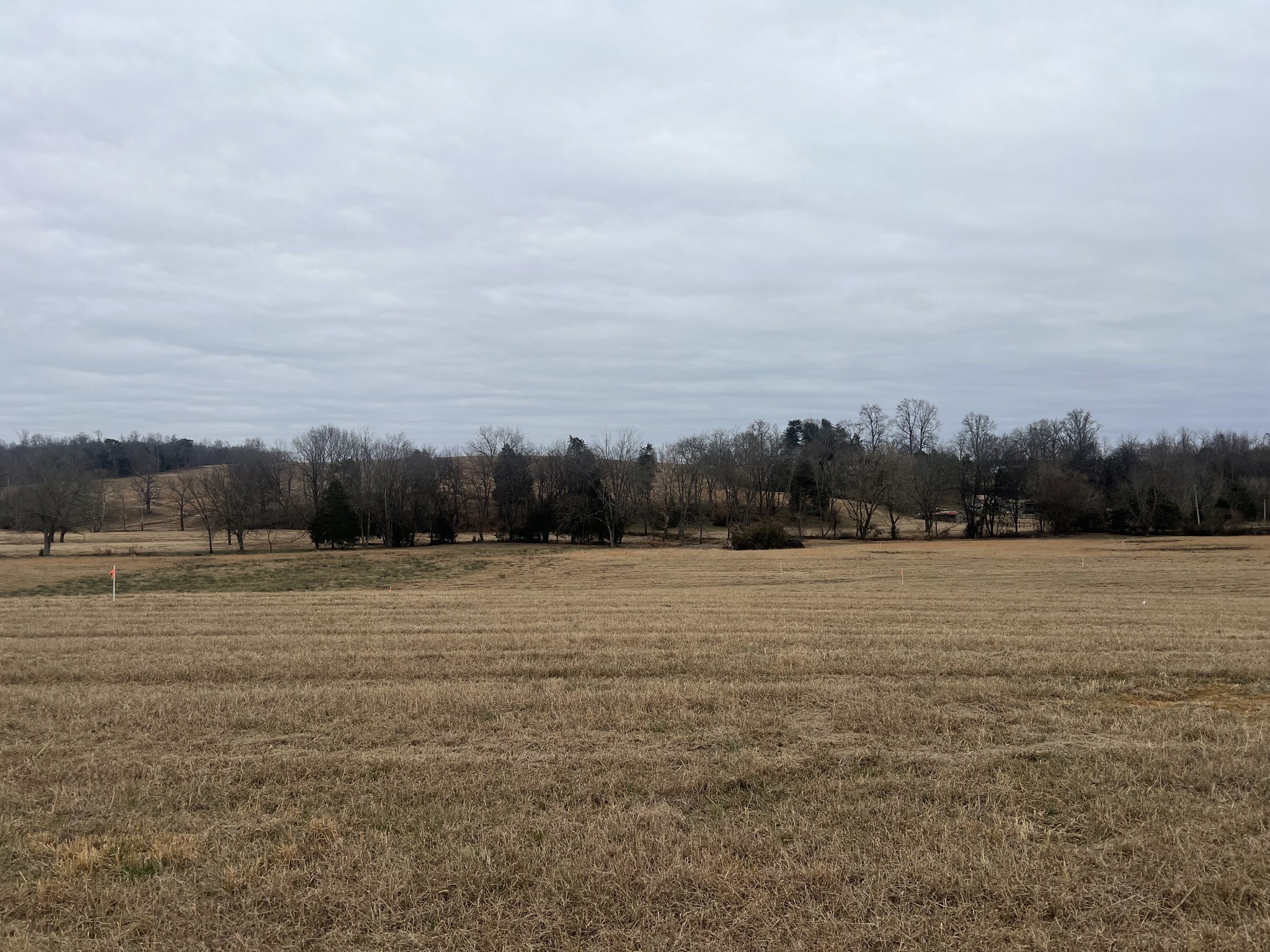 19 Clay County Highway Moss TN 38575