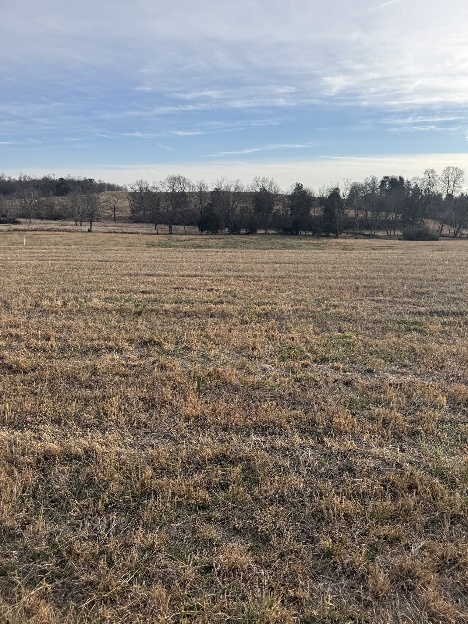 19 Clay County Highway Moss TN 38575