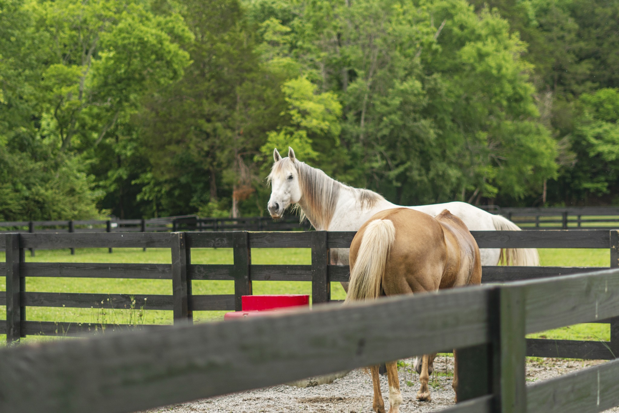 3084 Duplex Road Spring Hill TN 37174