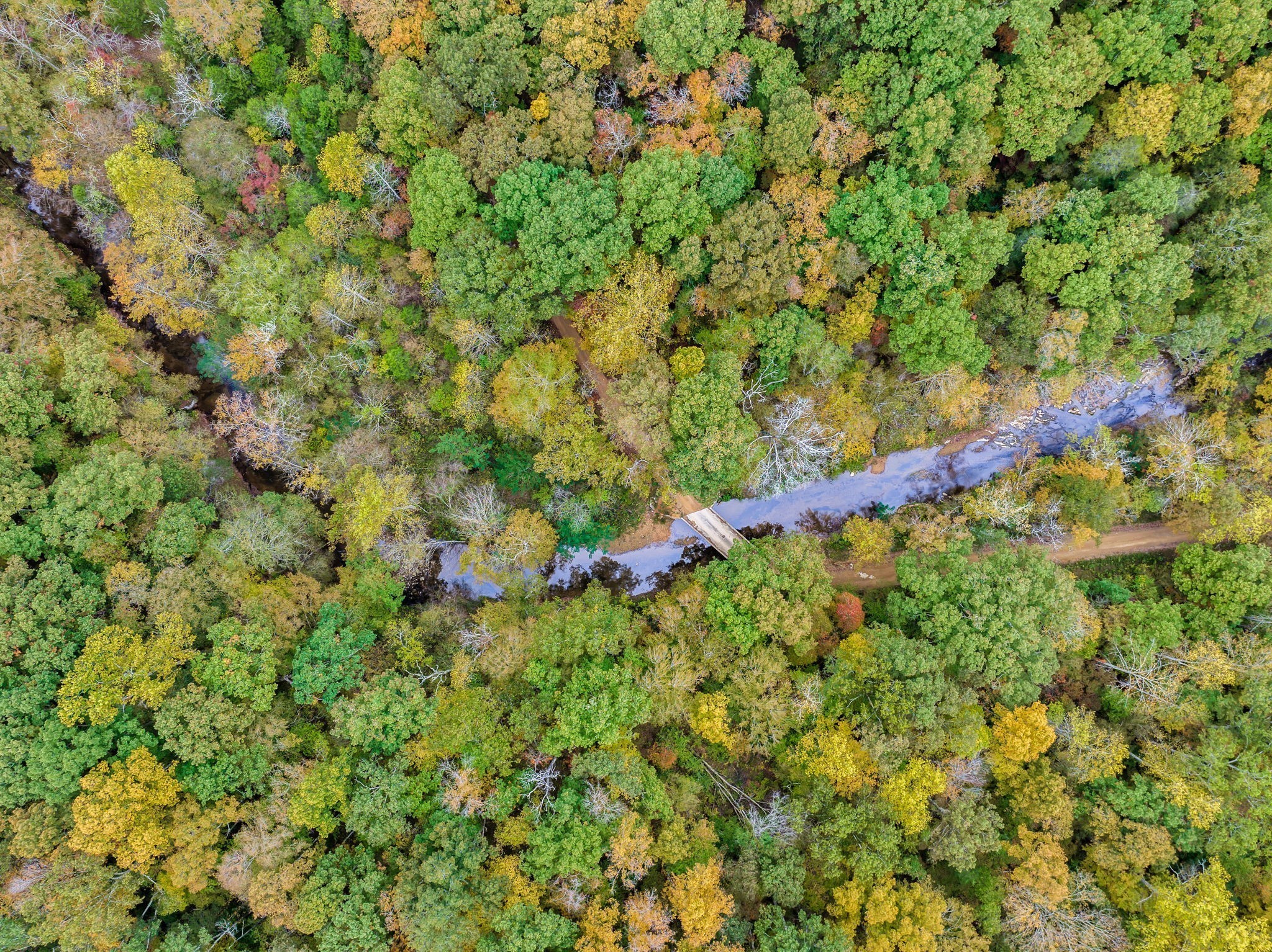 0 Bear Creek Road Bon Aqua TN 37025