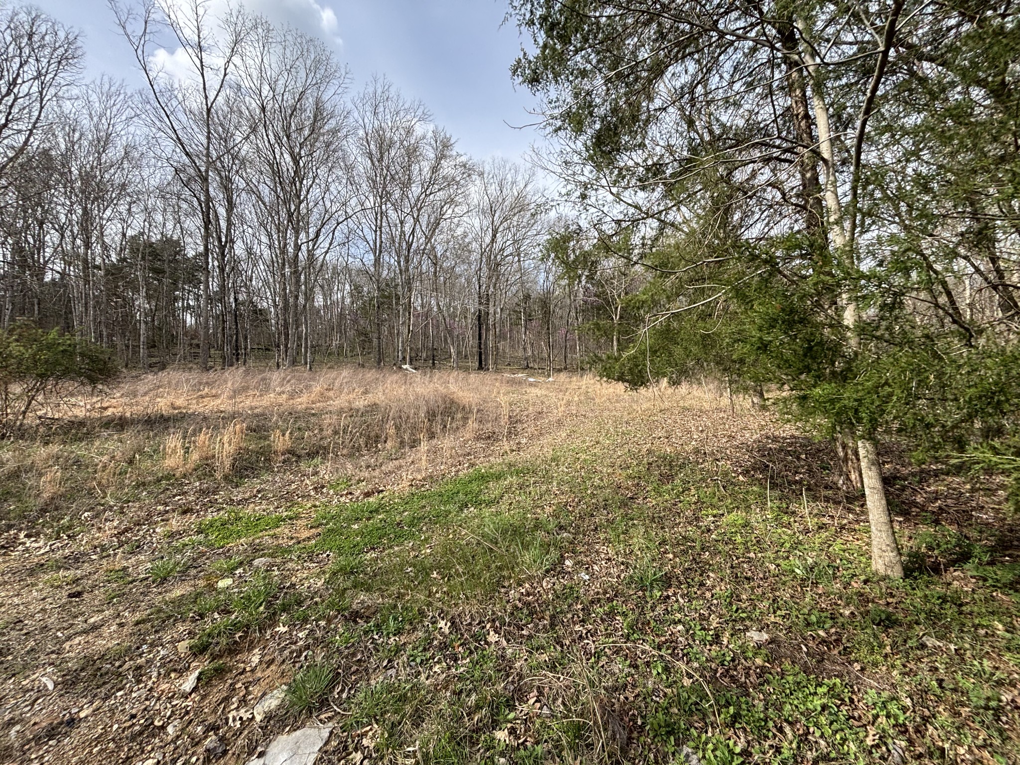 2200 Rock Springs Road Watertown TN 37184