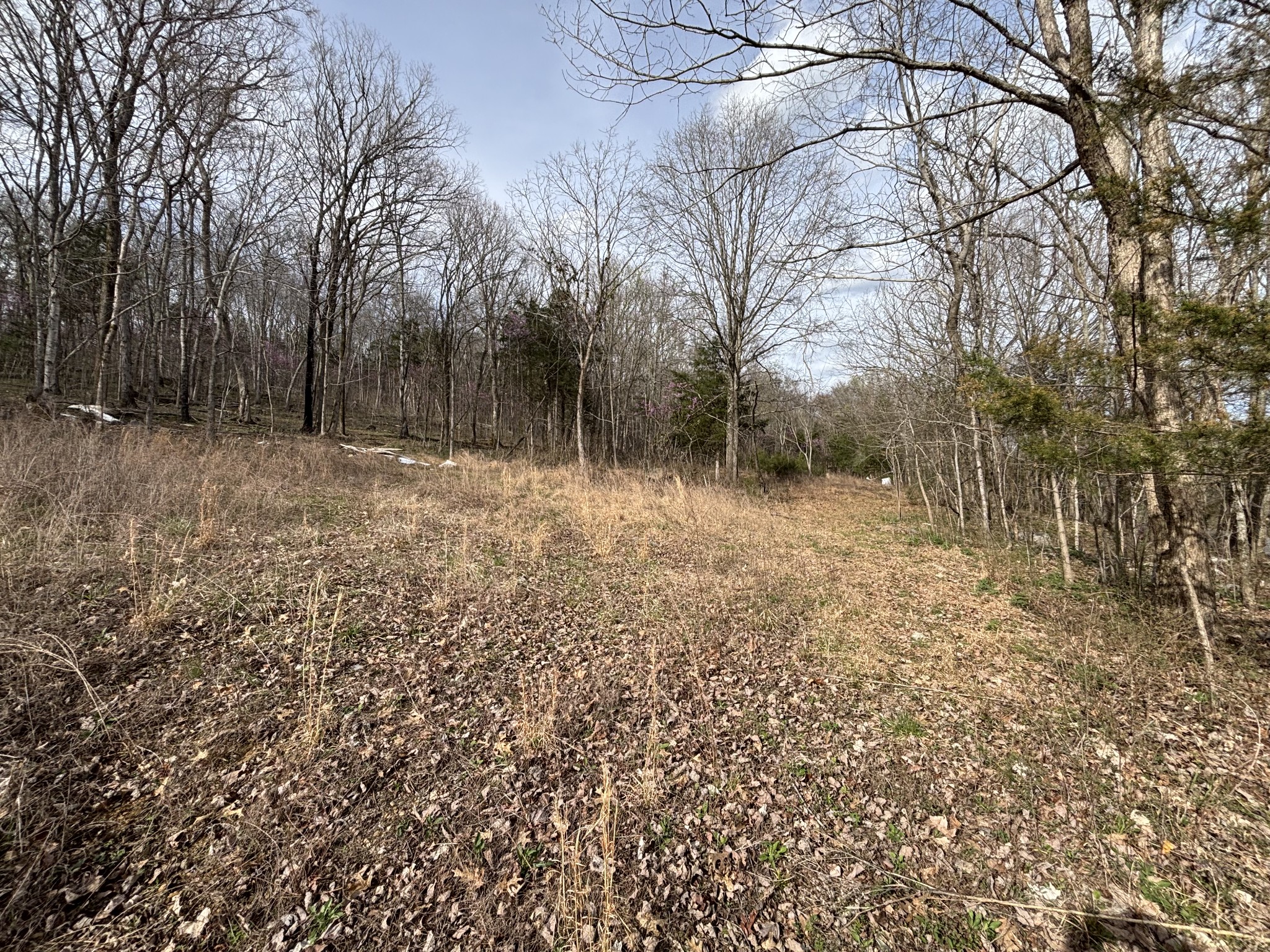 2200 Rock Springs Road Watertown TN 37184